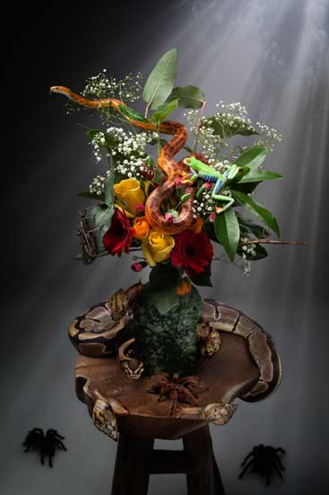 LeBouquet